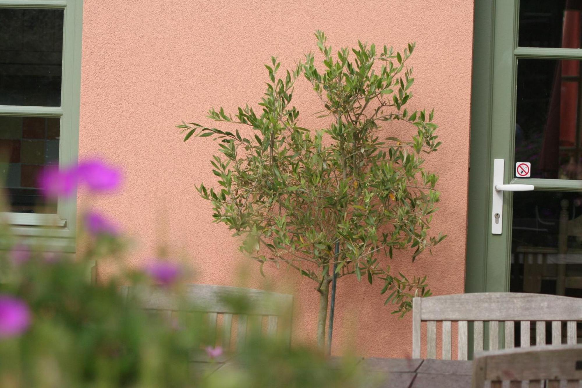 B&B La Cle Du Sud Merelbeke Exterior foto